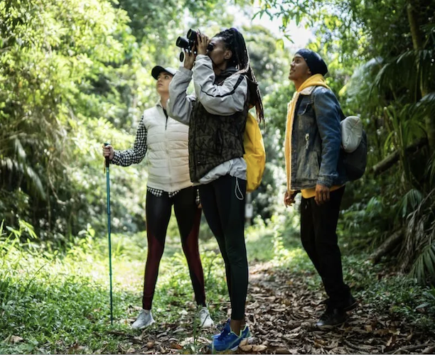 Bird Watching at Pacific Trails